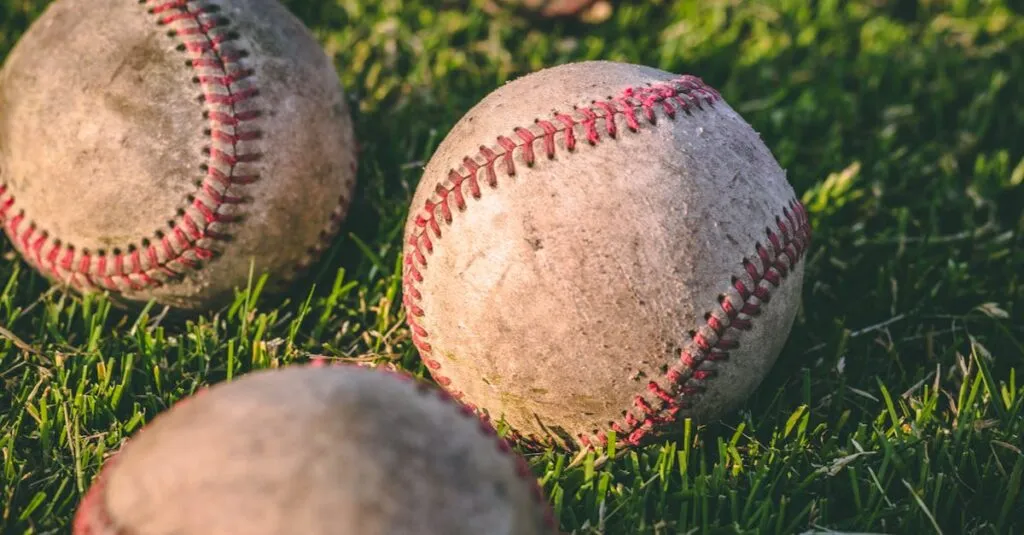 Close-up of multiple baseballs lying on a grassy field in bright sunlight.